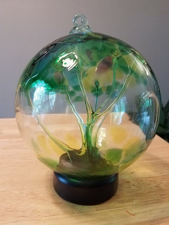 Trees in a Forest - Image 1