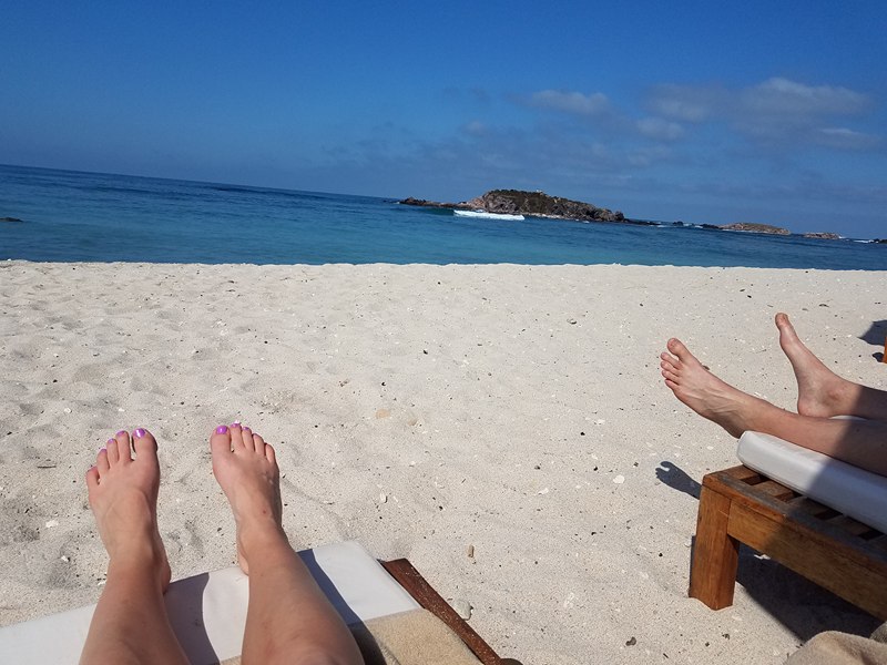 Back to a Painful Realty… - Image 1