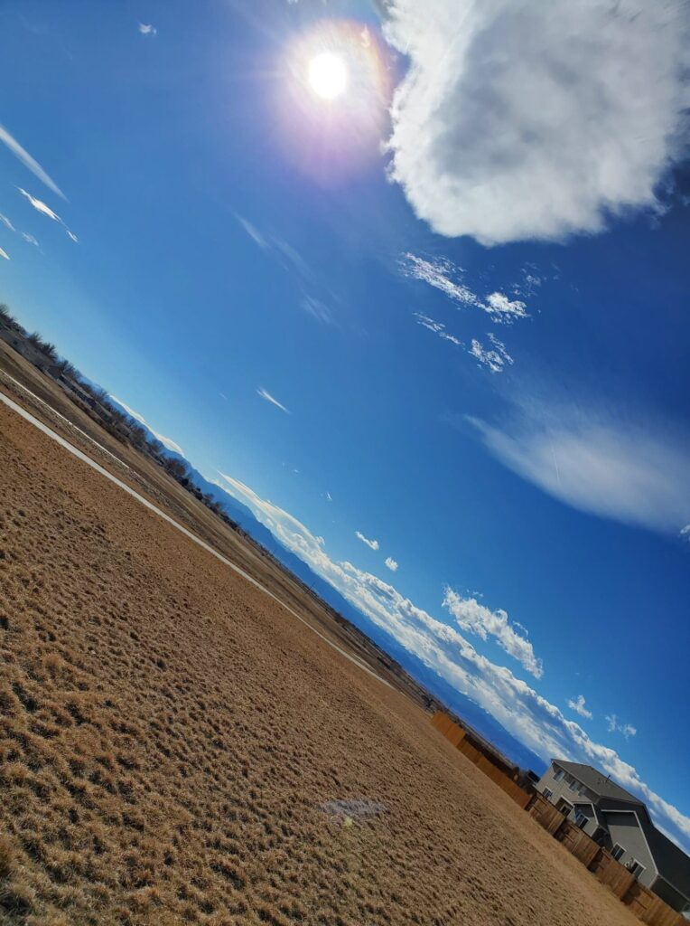 The Dove’s Call - Image 1