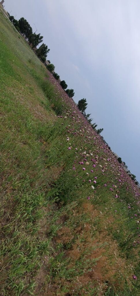 Getting Through Hard Things - Image 1