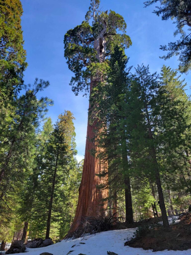 Beyond Our Grasp - Image 1