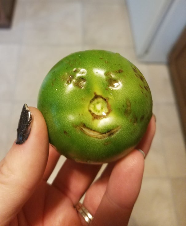 11 Years Old - Image 25 11 Years Old - Image 25