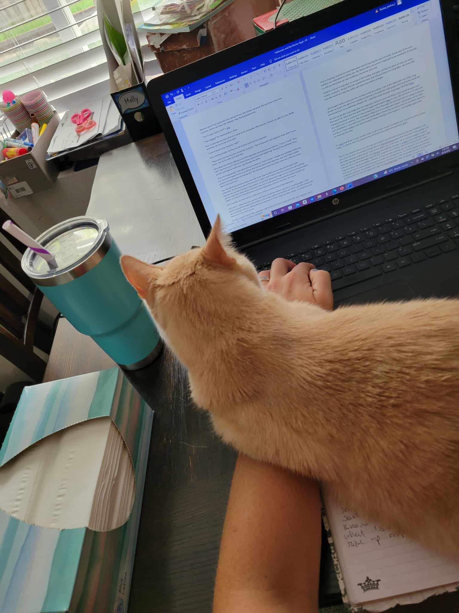 Promises Kept - Image 19 Promises Kept - Image 19