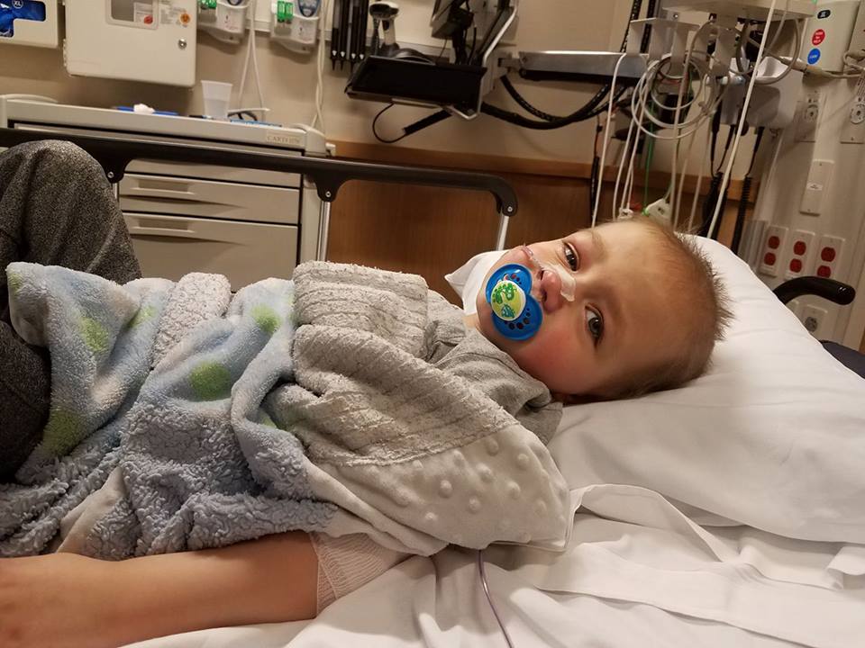 Why? - Image 9 Why? - Image 9